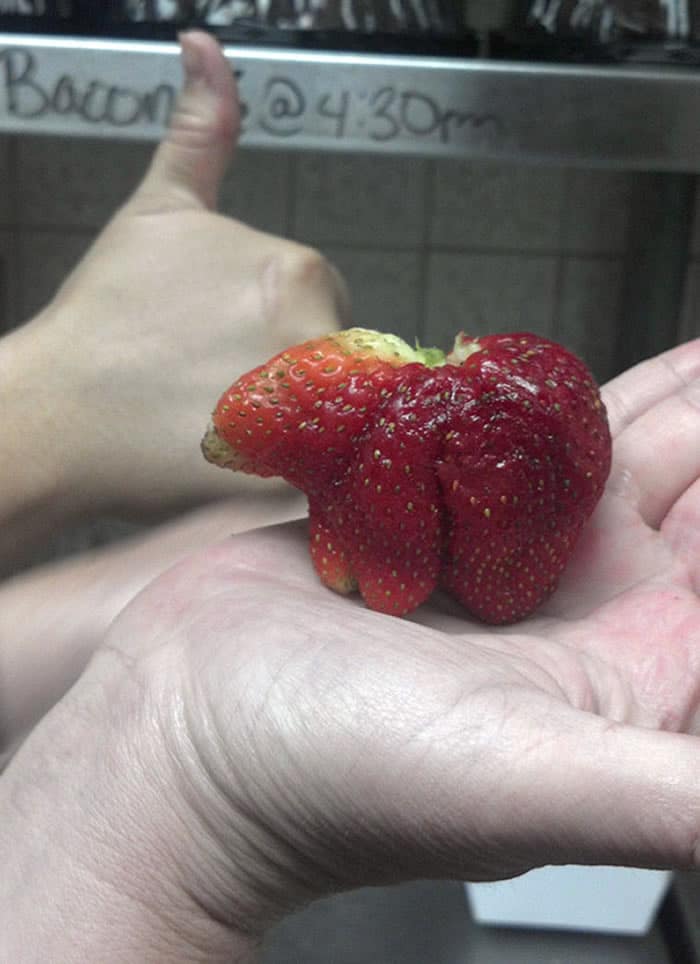 Oddly Shaped Fruits and Veggies