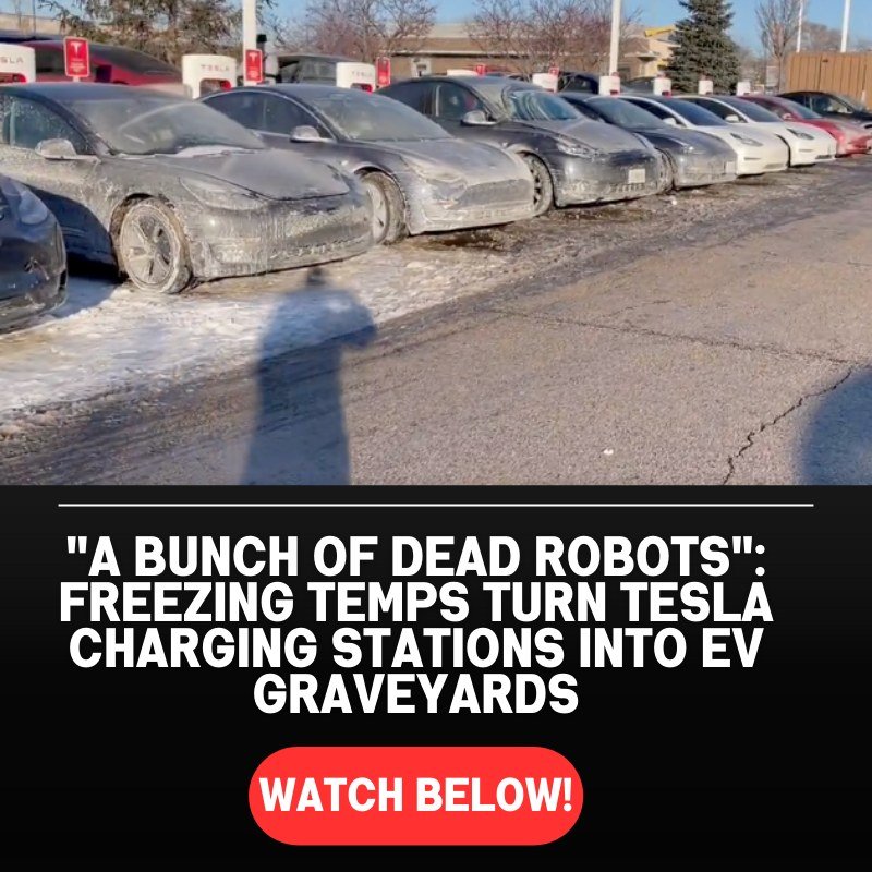 “Nothing. No Juice”: Desperate EV Owners Unable To Charge Cars In The Freezing Chicago Cold, Leading To “EV Armageddon” [WATCH]”