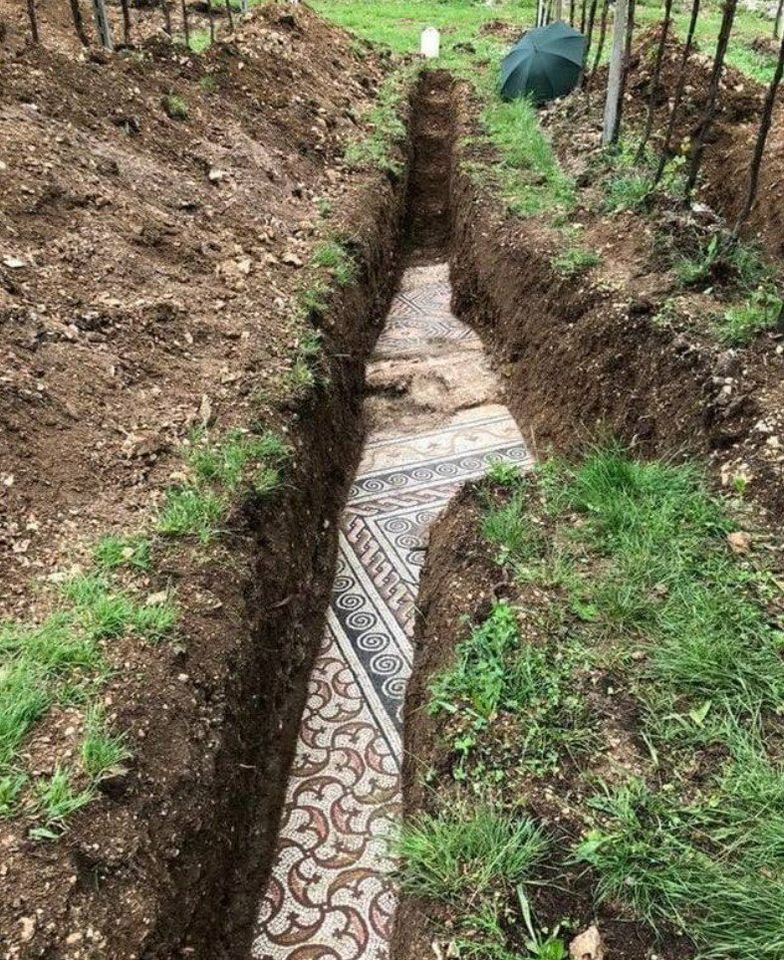 Ancient Roman mosaic floor discovered beneath an Italian vineyard