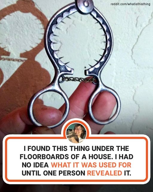 People wondered about the purpose of these 6 things and got unexpected answers