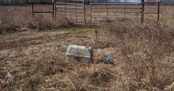 Bikers see an abandoned cage and what they find inside changes their lives forever