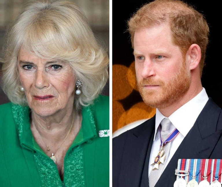 Prince Harry ‘Distrusts’ Prince William and Queen Camilla’s Alliance