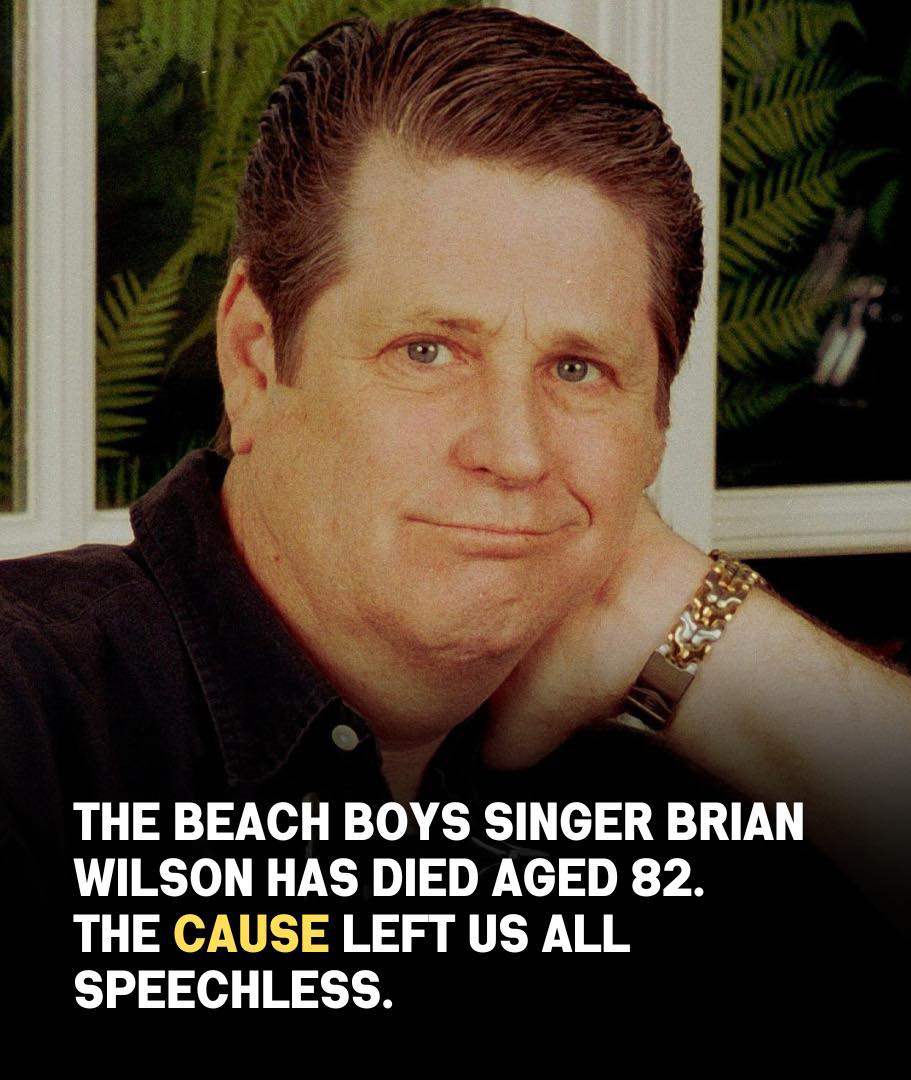 The Unexpected Details Behind Brian Wilson’s Passing That No One Saw Coming